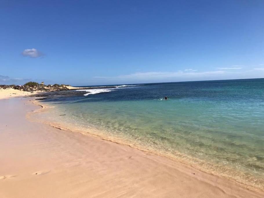 Chic&Surf Dunes View Lumineux Et Vue Superbe ! Corralejo Exteriör bild